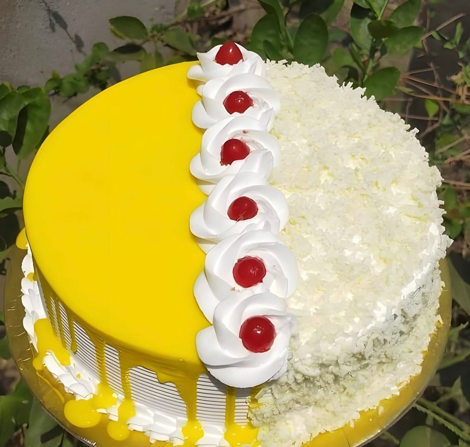 Tropical Cherry Splash Cake/Nc-S022
