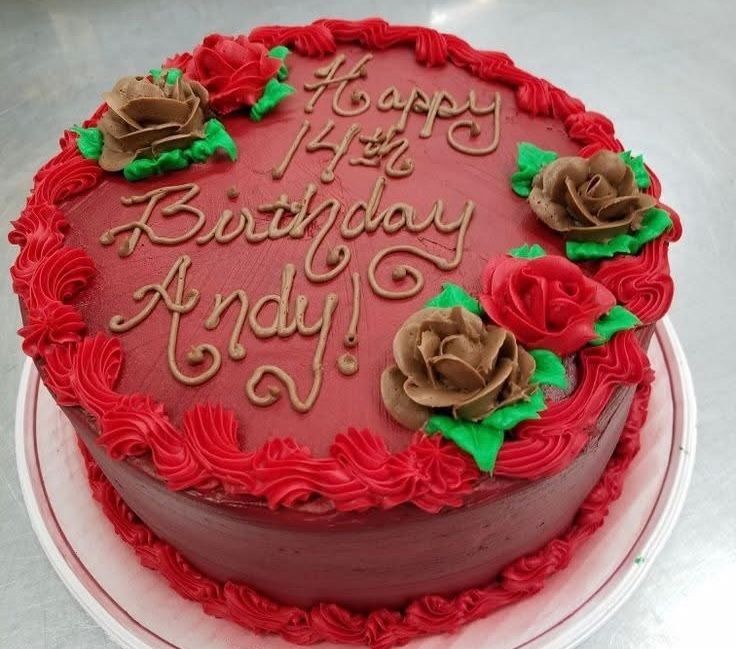 Red birthday cake with chocolate and red roses, message reads 'Happy 14th Birthday Andy.'