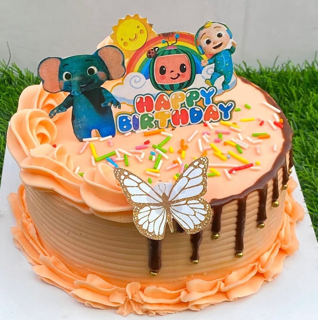 Colorful birthday cake with characters, rainbow, sprinkles, and butterfly decoration on top.